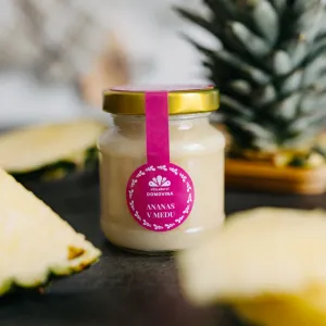 Včelařství Domovina Med s ananásom 170 g