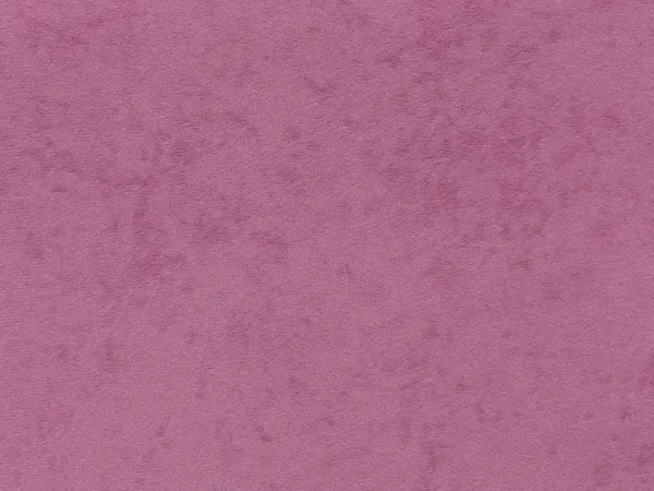 Entelo Detská stolička PETIT 4 | biela podnož Visto 8
