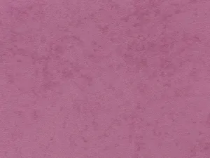 Entelo Detská stolička PETIT 4 | biela podnož Visto 8