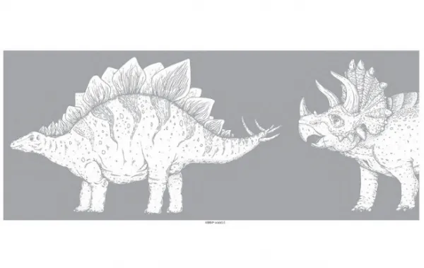 Umývateľná bordúra DINOSAURI na stenu do detskej izby Zvoľte farbu: Sivá