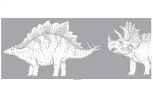 Umývateľná bordúra DINOSAURI na stenu do detskej izby Zvoľte farbu: Sivá