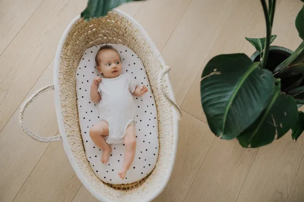 Prestieradlo Sleepee We Care do kočíka, košíka a kolísky čierne bodky/eukalyptus