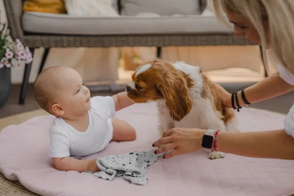 Hracia podložka Sleepee Royal baby Playing Mat sivá