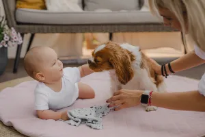 Hracia podložka Sleepee Royal baby Playing Mat sivá