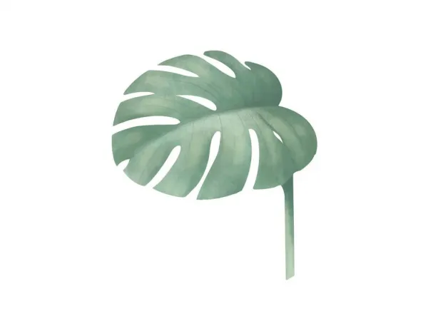 Plagát na stenu MONSTERA do detskej izby Zvoľte rozmer: 30 x 40 cm