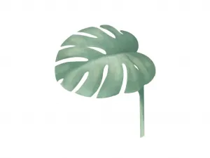 Plagát na stenu MONSTERA do detskej izby Zvoľte rozmer: 30 x 40 cm