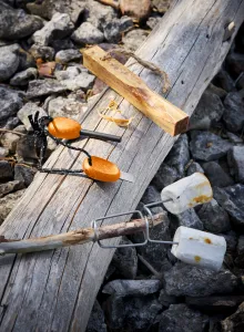 Turistická súprava Light My Fire Lighting Kit Bio - firelighting