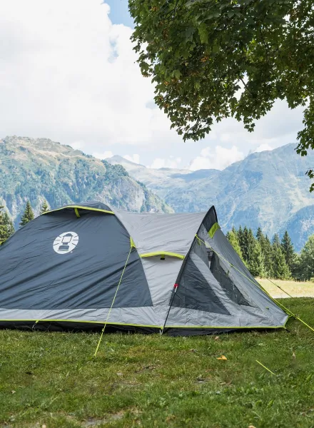 Stan 3 osoby Coleman Darwin 3 Plus - grey/green