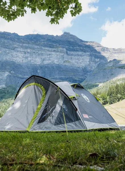 Stan 3 osoby Coleman Darwin 3 Plus - grey/green