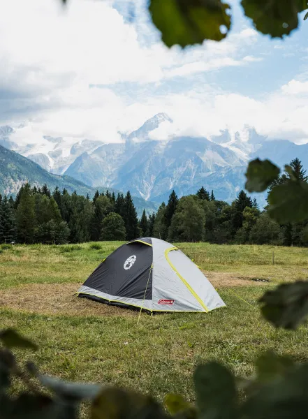 Stan 3 osoby Coleman Darwin 3 Plus - grey/green