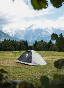 Stan 3 osoby Coleman Darwin 3 Plus - grey/green