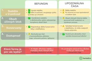 Befungin - tinktúra s extraktom z čagy sibírskej - 100 ml - Herbatica