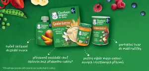 GERBER Organic chrumky s mangom a banánom 35 g​,GERBER Organic chrumky s mangom a banánom 35 g​