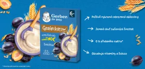 GERBER Kaša nemliečna pšenično-ovsená slivka 200 g, 6+