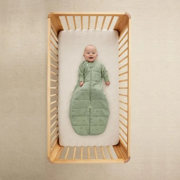 ERGOPOUCH - Vak a overal na spanie 2v1 organická bavlna Suit Willow 3-12 m, 6-12 kg, 2,5 tog
