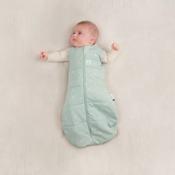 ERGOPOUCH - Zavinovačka a vak na spanie 2v1 Cocoon Sage 3-6 m, 6-8 kg, 2,5 tog