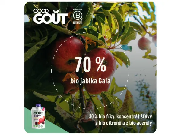 Good Gout Bio jablko 10 x 120 g,GOOD GOUT BIO Jablko a figy 120 g