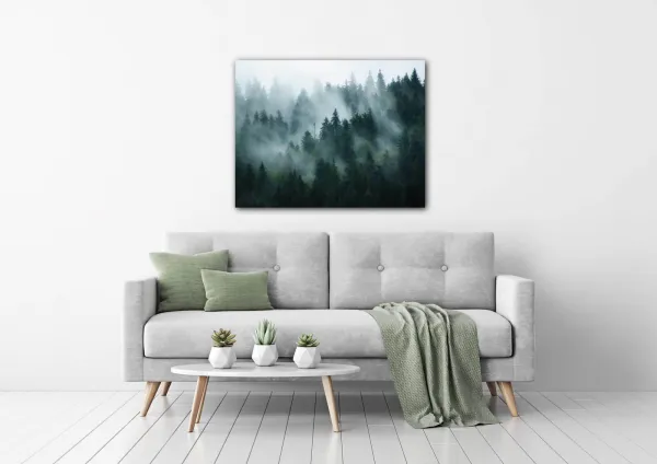 Impresi Obraz Les v hmle - 90 x 70 cm