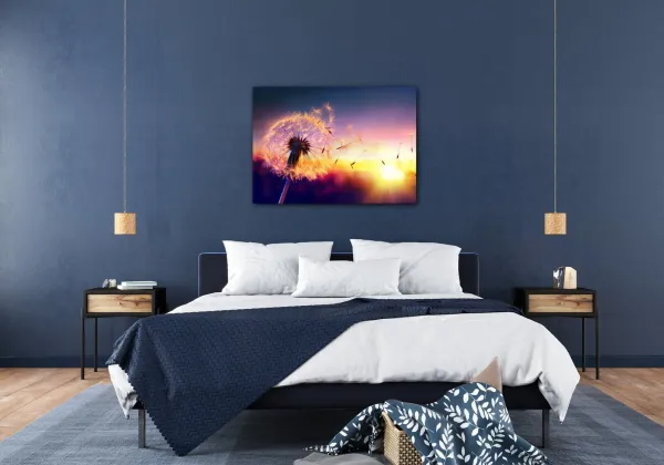Impresi Obraz Púpava sa západom slnka - 70 x 50 cm