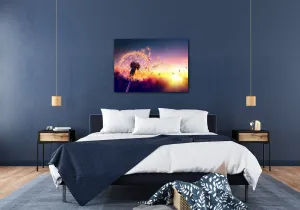 Impresi Obraz Púpava sa západom slnka - 70 x 50 cm