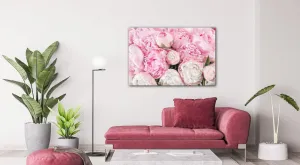 Impresi Obraz Ružové pivónie - 60 x 40 cm