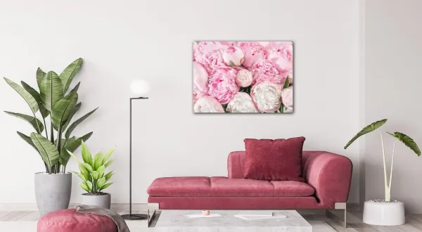 Impresi Obraz Ružové pivónie - 70 x 50 cm