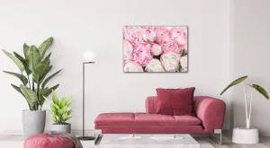 Impresi Obraz Ružové pivónie - 70 x 50 cm
