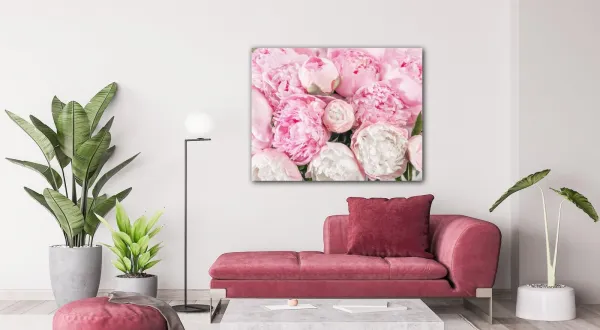 Impresi Obraz Ružové pivónie - 90 x 70 cm