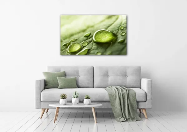 Impresi Obraz Kvapky vody na liste - 50 x 30 cm