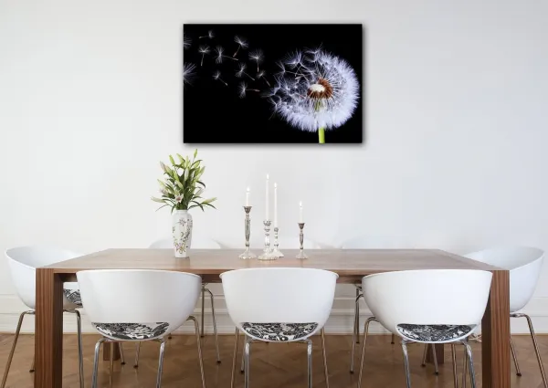 Impresi Obraz Púpava na čiernom pozadí - 60 x 40 cm