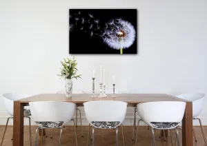 Impresi Obraz Púpava na čiernom pozadí - 60 x 40 cm