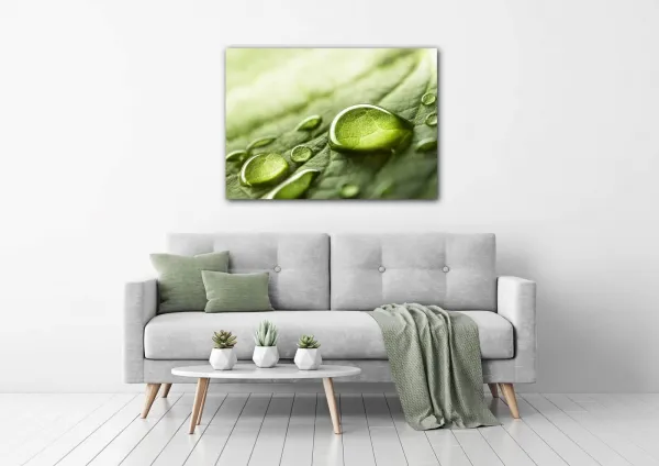 Impresi Obraz Kvapky vody na liste - 70 x 50 cm
