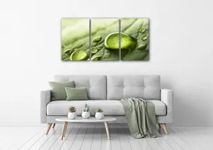 Impresi Obraz Kvapky vody na liste - 120 x 60 cm (3 dielný)