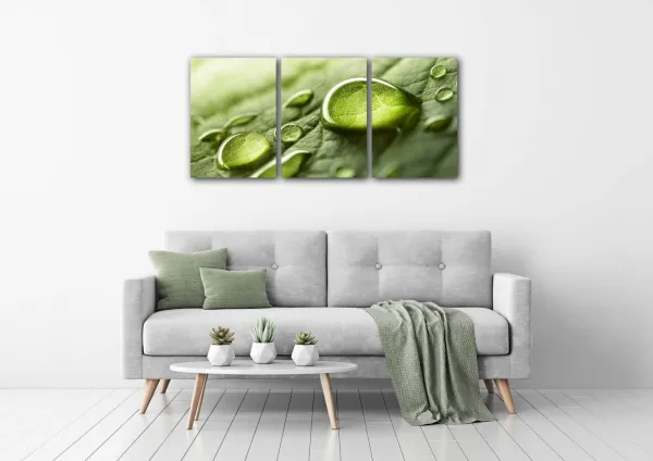 Impresi Obraz Kvapky vody na liste - 150 x 70 cm (3 dielny)