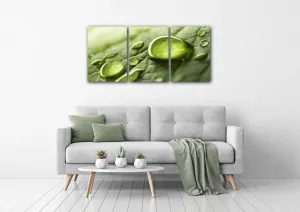 Impresi Obraz Kvapky vody na liste - 150 x 70 cm (3 dielny)