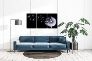 Impresi Obraz Púpava na čiernom pozadí - 120 x 60 cm (3 dielný)