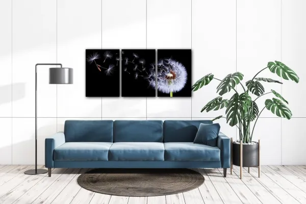 Impresi Obraz Púpava na čiernom pozadí - 150 x 70 cm (3 dielny)