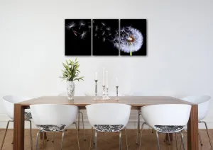 Impresi Obraz Púpava na čiernom pozadí - 150 x 70 cm (3 dielny)