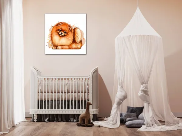 Impresi Obraz Pes Pomeranian - 40 x 40 cm