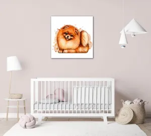 Impresi Obraz Pes Pomeranian - 40 x 40 cm