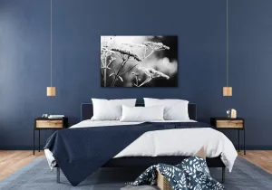 Impresi Obraz Čiernobiela lúčna kvetina - 60 x 40 cm