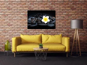 Impresi Obraz Biely kvet na čiernych kameňoch - 60 x 40 cm