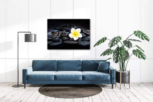 Impresi Obraz Biely kvet na čiernych kameňoch - 70 x 50 cm