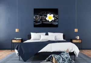 Impresi Obraz Biely kvet na čiernych kameňoch - 90 x 70 cm