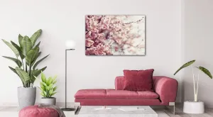 Impresi Obraz Svetlo ružové kvety - 60 x 40 cm
