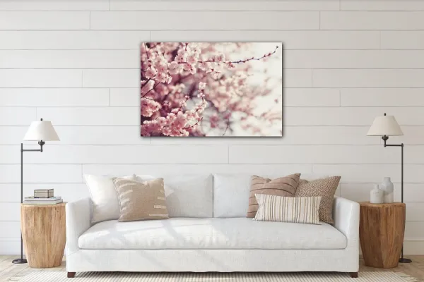 Impresi Obraz Svetlo ružové kvety - 60 x 40 cm
