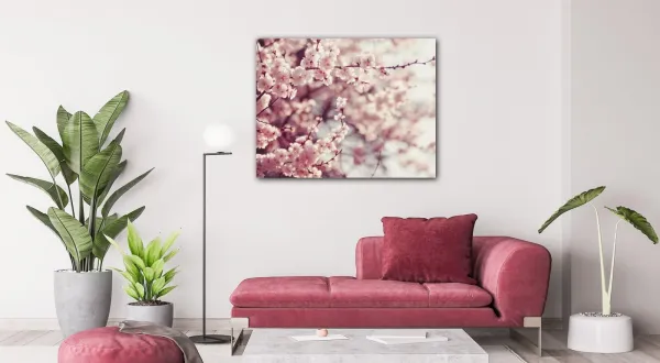 Impresi Obraz Svetlo ružové kvety - 90 x 70 cm