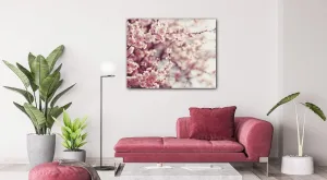 Impresi Obraz Svetlo ružové kvety - 90 x 70 cm