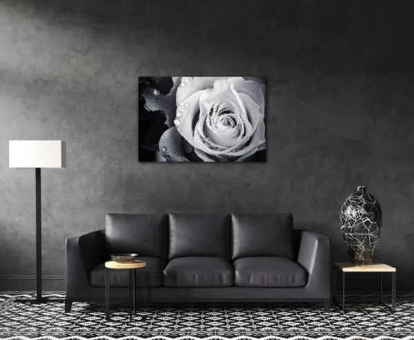 Impresi Obraz Čiernobiela ruže s kvapkami vody - 60 x 40 cm