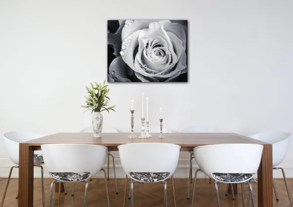 Impresi Obraz Čiernobiela ruže s kvapkami vody - 90 x 70 cm